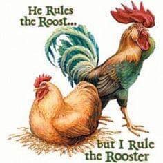 FarmsteadLife's tweet image. 