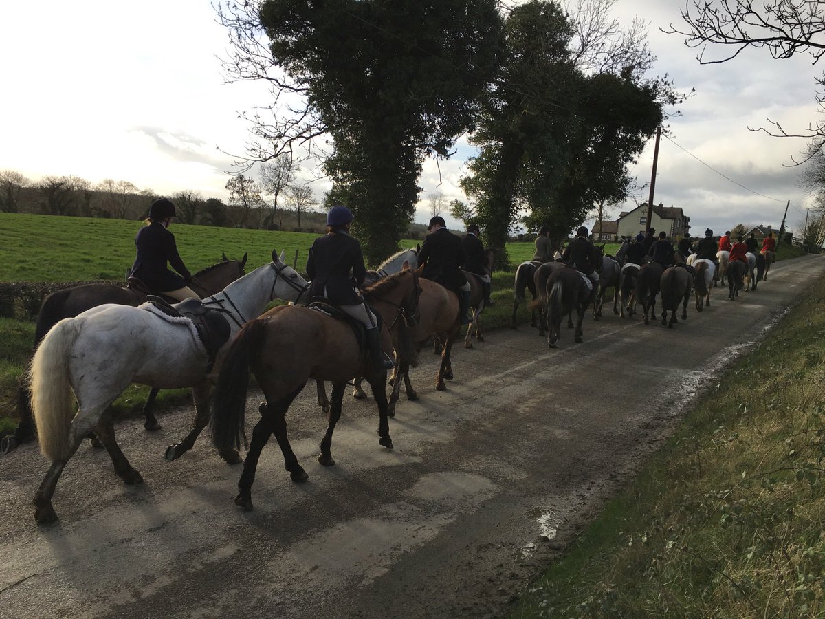 meade_tommy's tweet photo. @MeathHunt in Rathbranchurch, Lobinstown today. https://t.co/qGVz4YOcye