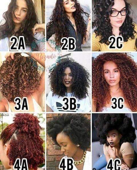 Natural Hair Types Chart 4c