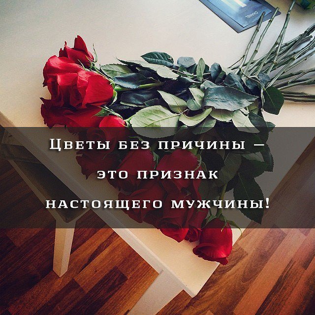 свой важный цветы должны быть без повода картинка для