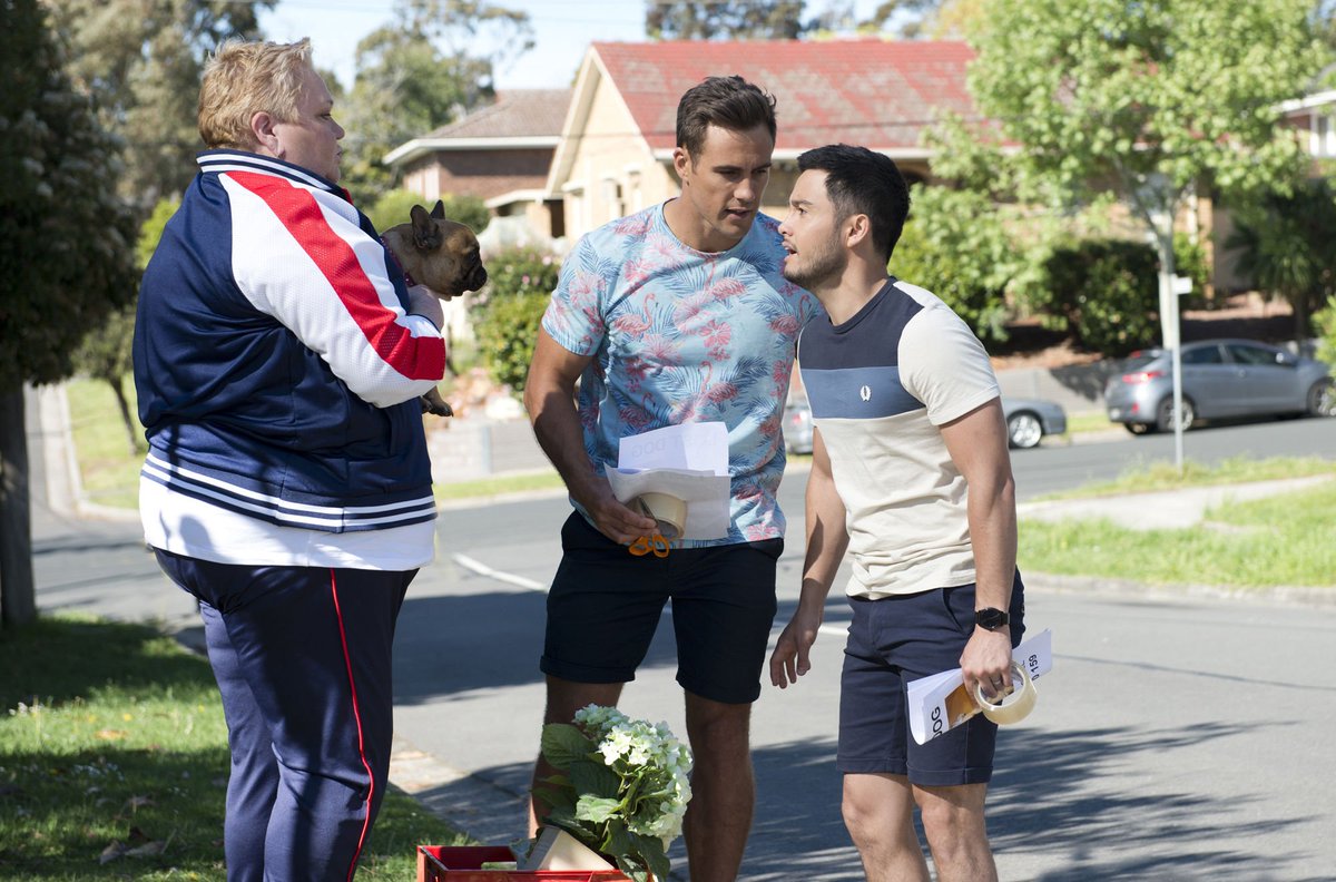 RamsaySpeak's tweet photo. Yes Reggie is back! 🐶 David accuses Vera Punt (@SalUPTON) of kidnapping the dog (and @MattyWilson88's actual real-life pet) in next week's #Neighbours 📺 https://t.co/BLTABPHZlf
