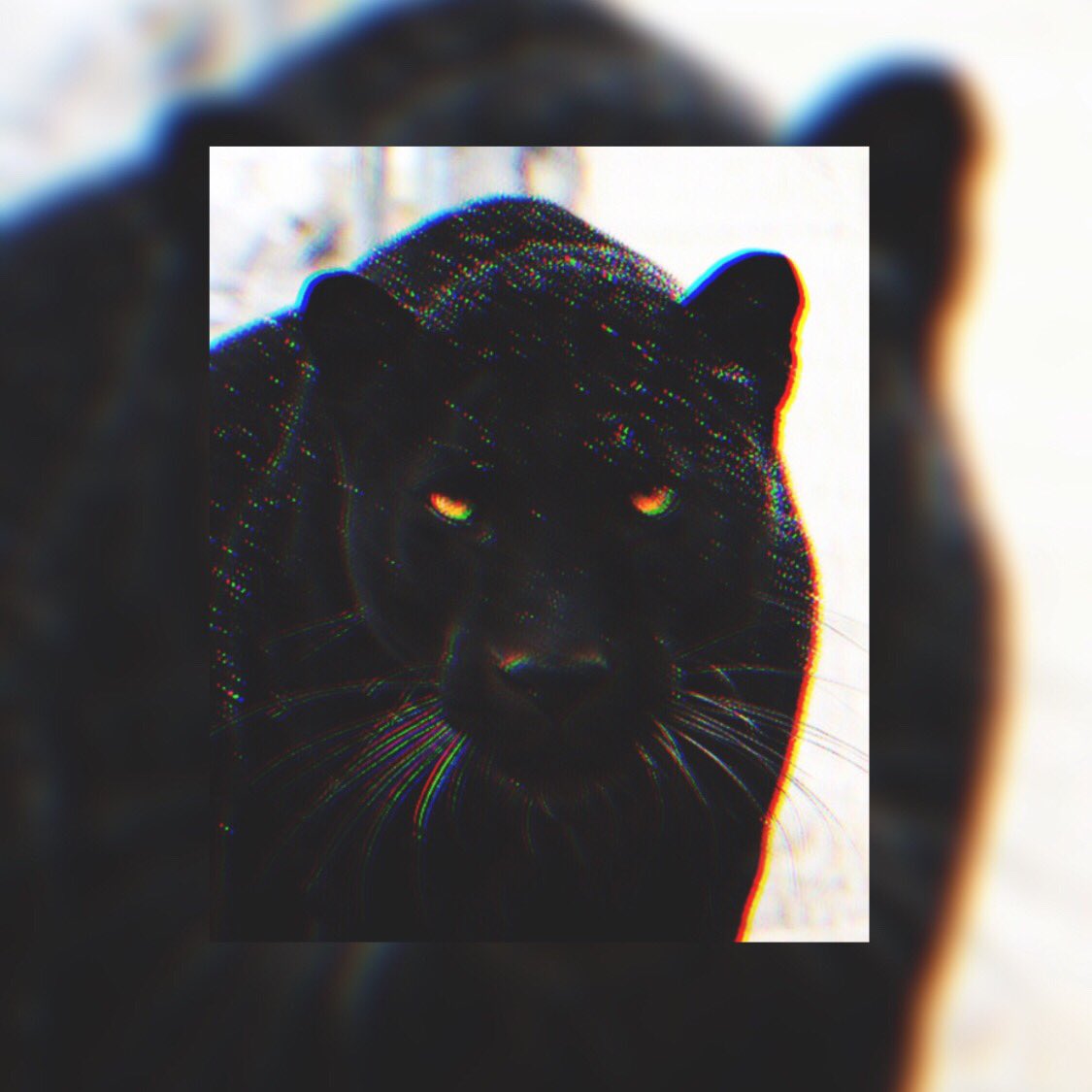 ㅤ
ㅤ
ㅤ         -ˏˋ ＊  ━━  ⳇ ⳇ 瀬呂範太 ｡  ↴

ㅤ  ⠀       ⠀⠀──────
  ⠀⠀    ➧  𝑪𝒂𝒎𝒃𝒐𝒚 ：カムボーイ
⠀ ⠀  ⠀ ：      ↳ ʙᴀsᴛᴇᴛ . 🐱

⠀          ➺ ᴄᴀᴍʙᴏʏ! ʙɴʜᴀ ᴏᴄ
              ➺ NSFW ﹒18+ ONLY!
               ➺ ʟɪᴛ ﹒ᴅᴇᴛ
⠀ ⠀