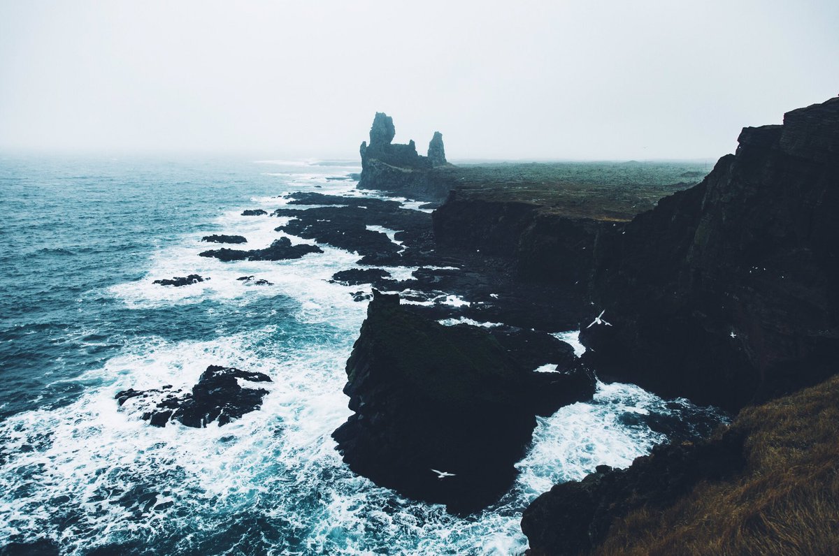 Daniel Casson tweet media