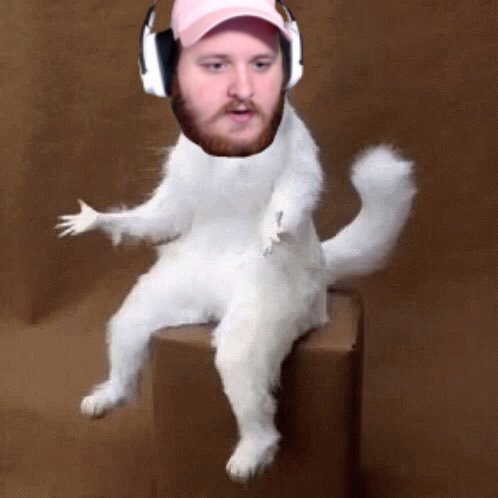 ItsYoshh's tweet photo. Viewer: Hey remember me?

Me: No. Not really?

Viewer: Yeah. I followed you like 4 months ago and didn't say anything.

Me: https://t.co/6hbZ1DaktM