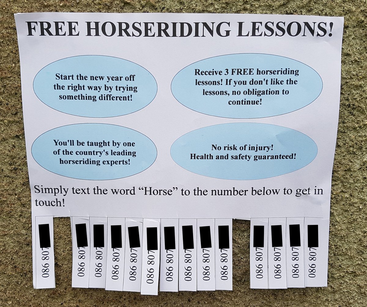Michael1979's tweet image. Another busy day teaching horseriding lessons to my clients