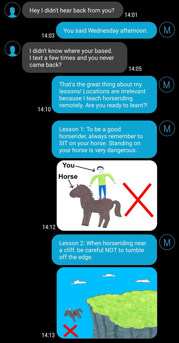 Michael1979's tweet image. Another busy day teaching horseriding lessons to my clients