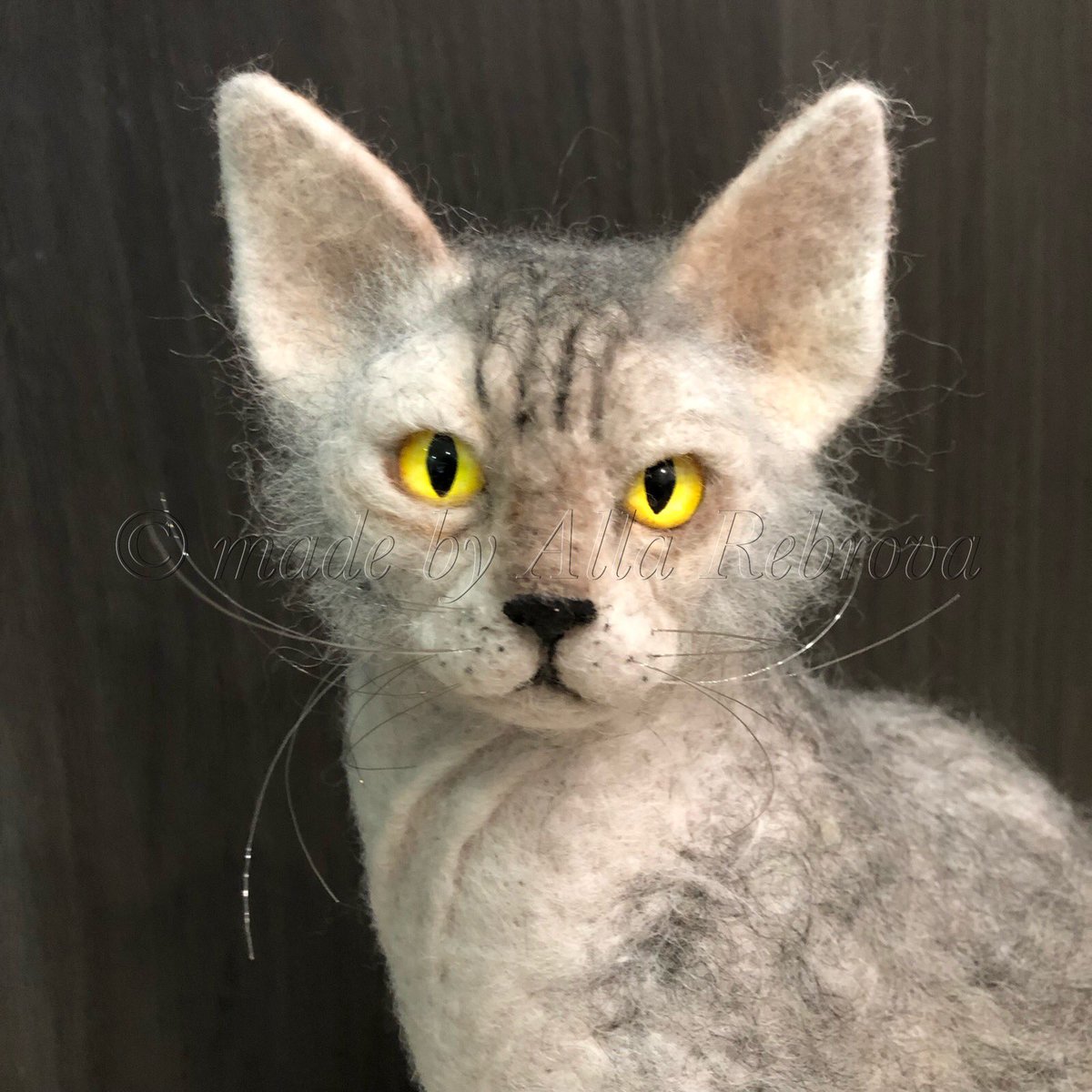 alla_rebrova's tweet photo. Needle felted wool customized pet replica. Made from customer pictures. If you want to order a doll of your pet please contact me via message or email: COALLA@INBOX.LV @TrifectaArts #lykoi #lykoicat #feltedcat #woolcat @LykoiThePossum @MeenaDarkPrince @lykoi9821 https://t.co/ZYD7L8dnr7