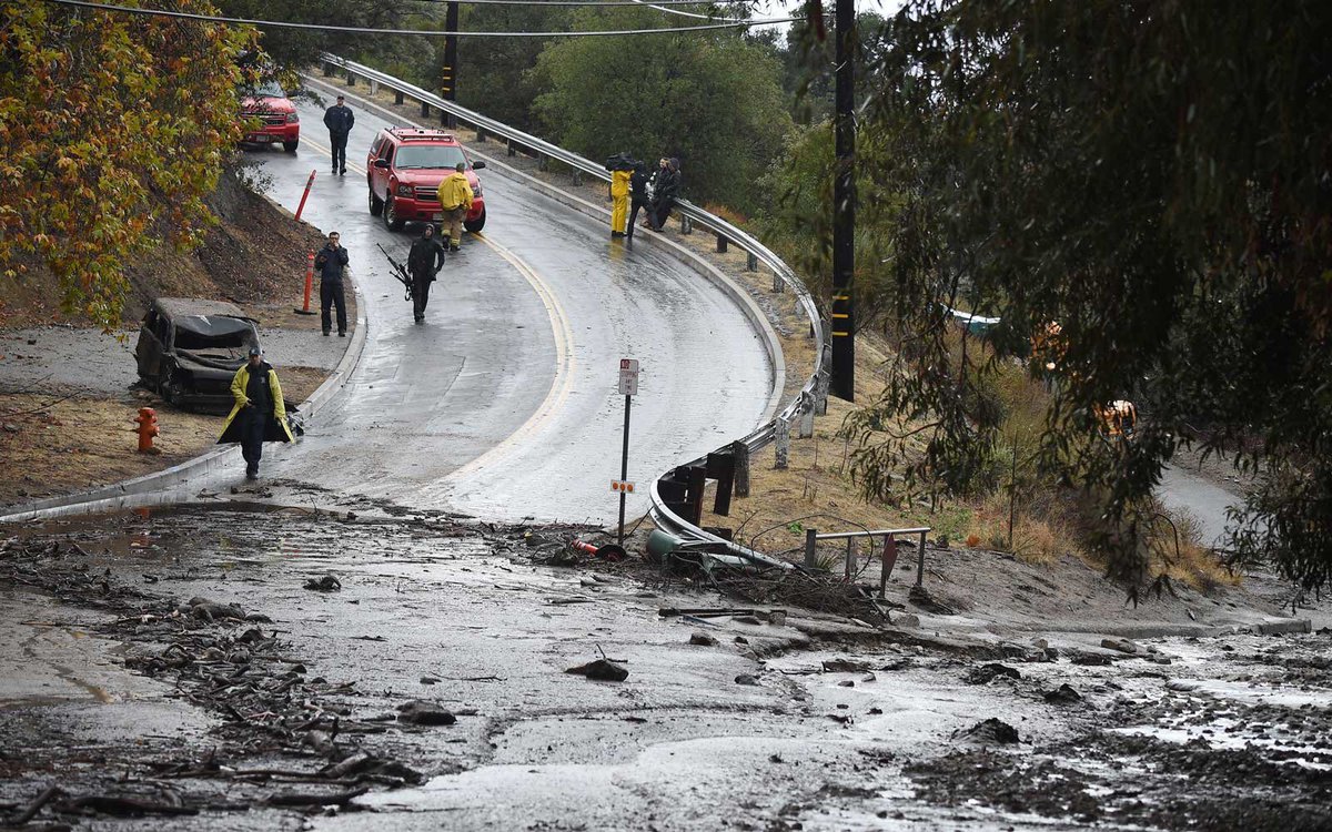 Susan Adams tweet media