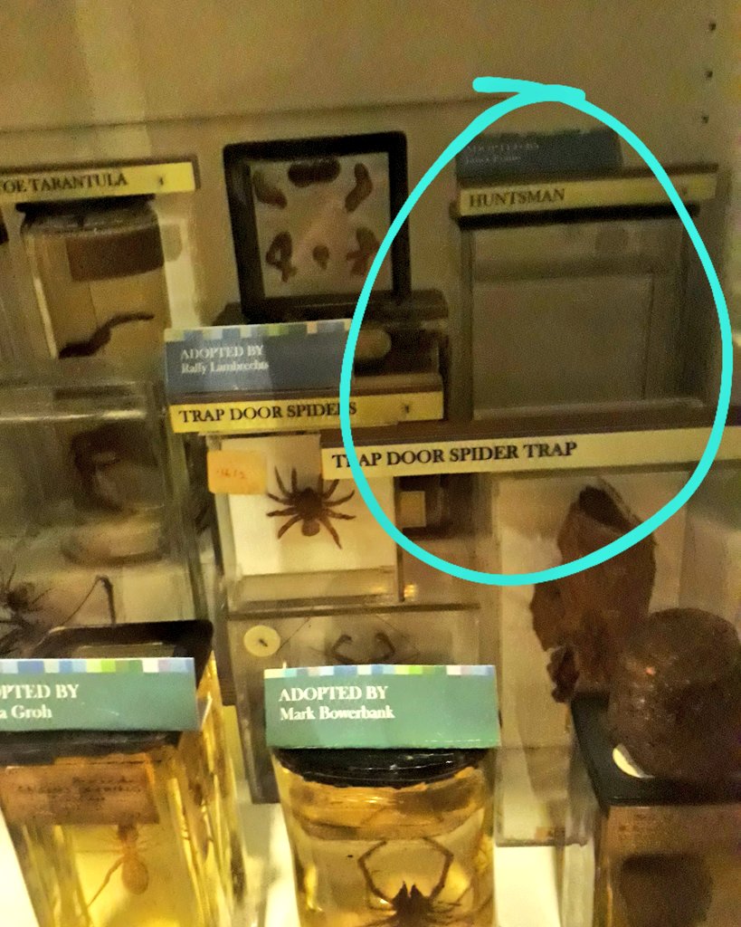 theBESStime's tweet photo. Where's the spider??!!!
This is either a brilliant joke or a spectacular error.
@UCLMuseums @GrantMuseum https://t.co/iUR1butgth