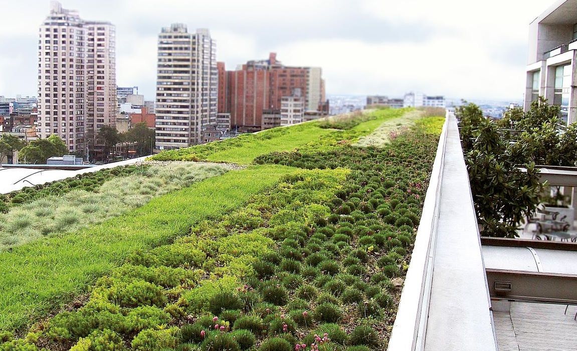 TurnerMidAtl's tweet photo. An Architect's Guide To: Green Roofs - Architizer Journal https://t.co/bVo8XWDK00 https://t.co/sQNABvCM2d