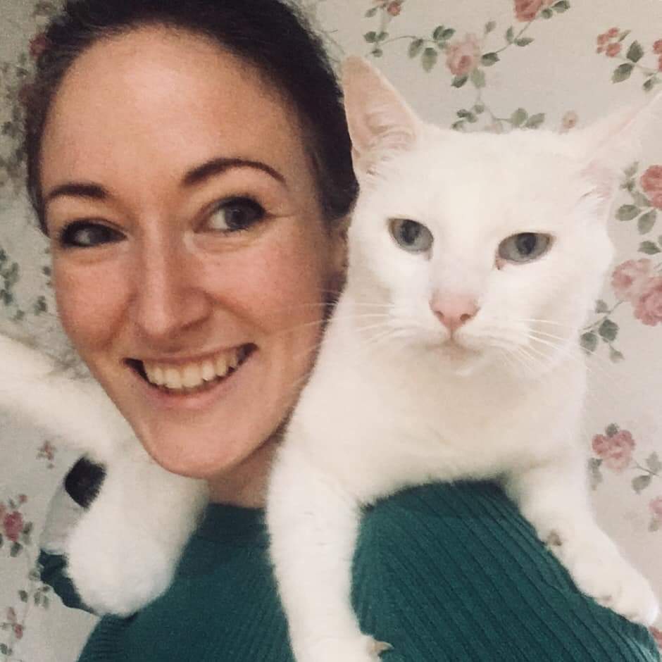 CroftTheatreCo's tweet photo. Time to meet our inspiration 🐱
Viv and Tonks, Taz and Bella
#Coricopat and #Tantomile
#CATSTheMusical @SheffieldLyceum 12-16 March
From only £15 https://t.co/hPO20dbQqi