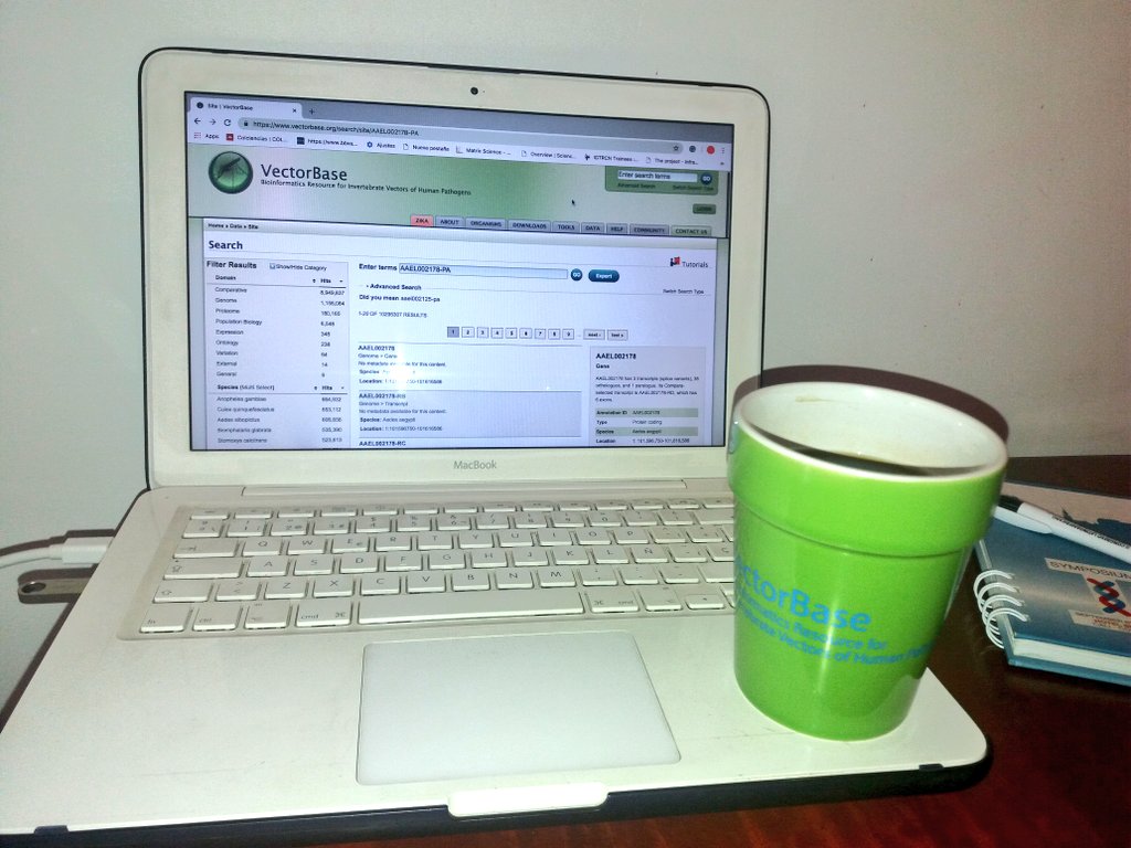Angelic17089881's tweet image. While I am working on my Aedes proteomics data using #vectorbase, I am enjoying a delicious Colombian coffee🍵 in my beautiful mug that #vectorbase gave me.