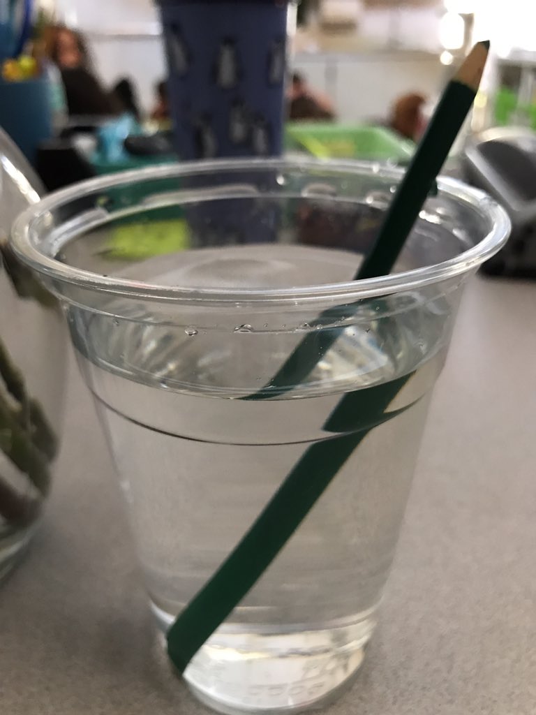 MrsGraham1A's tweet photo. What an awesome day to get flowers! We connected our CKLA lesson and saw how the flower stems appear to be bend/break due to refraction! 🌺🌞 https://t.co/fPGhHqWyNN