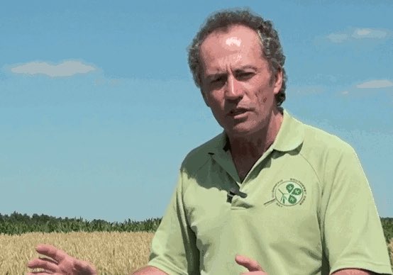 Join us on Thursday, January 17 to hear <a href="/WheatPete/">Peter Johnson</a> discuss his research in #OntAg, and @Shawn_CFS reveal secrets to increasing #wheat yields with @precision_plant #SeederForce. #PPWinterConference2019 Register at precisionplanting.com/wheat