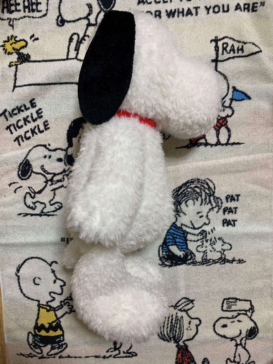 Alauce 昨年plazaで購入した 失恋のヤケ食いでお腹がポッコリしてしまったスヌーピー の湯たんぽ スヌーピー ミュージアムでは このデザインの縫いぐるみが売り切れだった 何とも言えない表情がとても可愛い でも 普通の寝そべりデザインは売り切れで