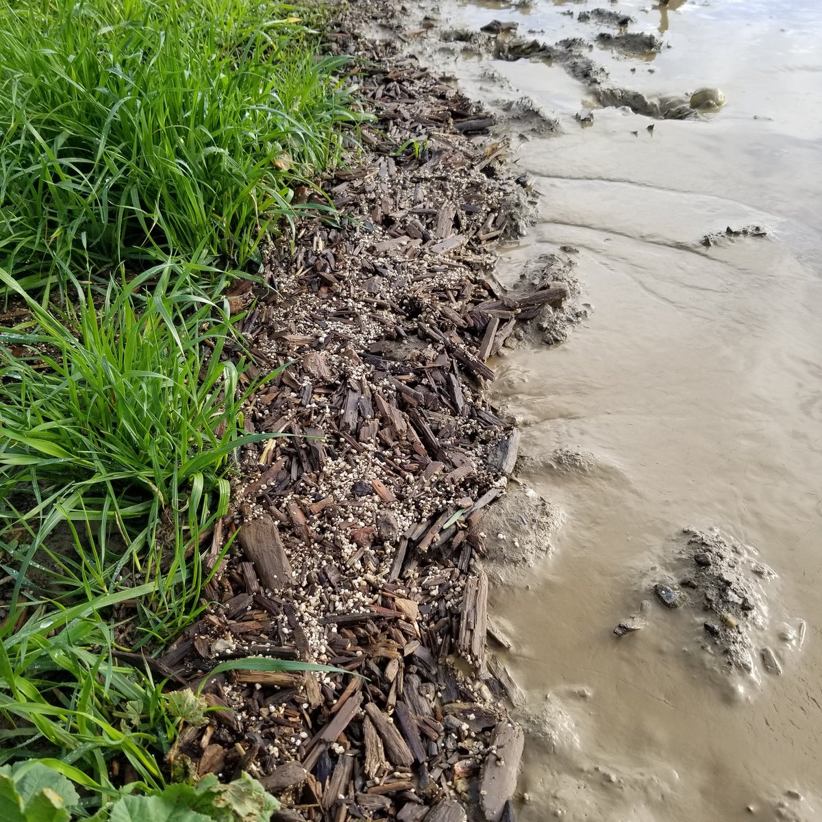 pettyranch's tweet photo. Do #filterstrips stop debris and silt from impacting drains and waterways? Why yes.... yes they do.

#waterquality https://t.co/Vn2Dw6cwjQ
