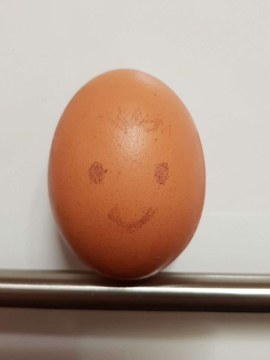suffolkodds's tweet photo. THE EGG PART 2
#Egg #EggChallenge #EggRecord #eggs #instagram #Instaegg #instawatch #EGGworldrecord @instagram @egg @WorldFirstUK @GoodEggs https://t.co/V4TnsDzUFP