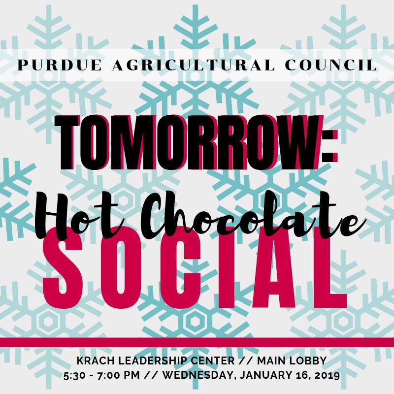 Purdue CCA tweet media