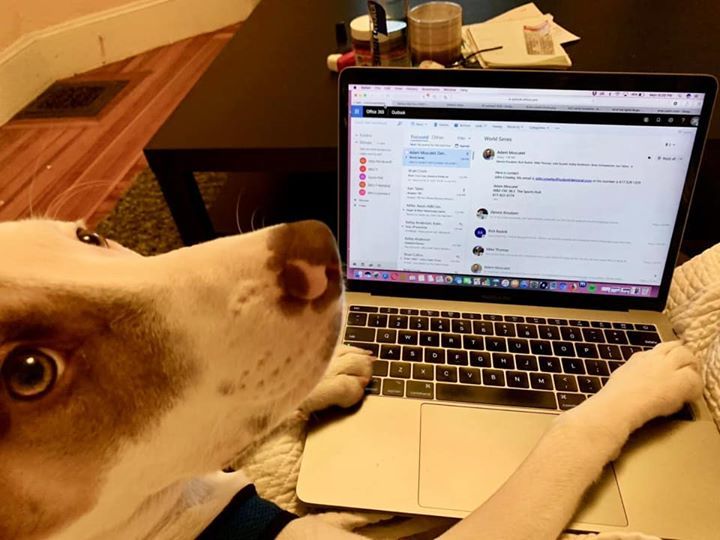 25eight_ent's tweet photo. Special assistant helping with the scheduling for socials this week 🐶📲 https://t.co/NTrV09mCQp