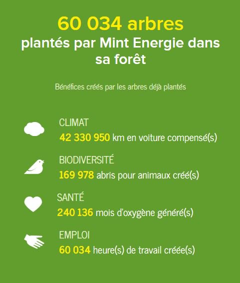 mint_eco's tweet photo. Notre forêt dépasse les 60 000 #arbres ! Bravo et merci à toutes et à tous !
cc @reforestaction #biodiversite #neutralisationCarbone https://t.co/jwZvUsZHiB