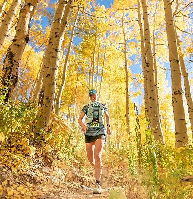 Run Rabbit Run 100 tweet media