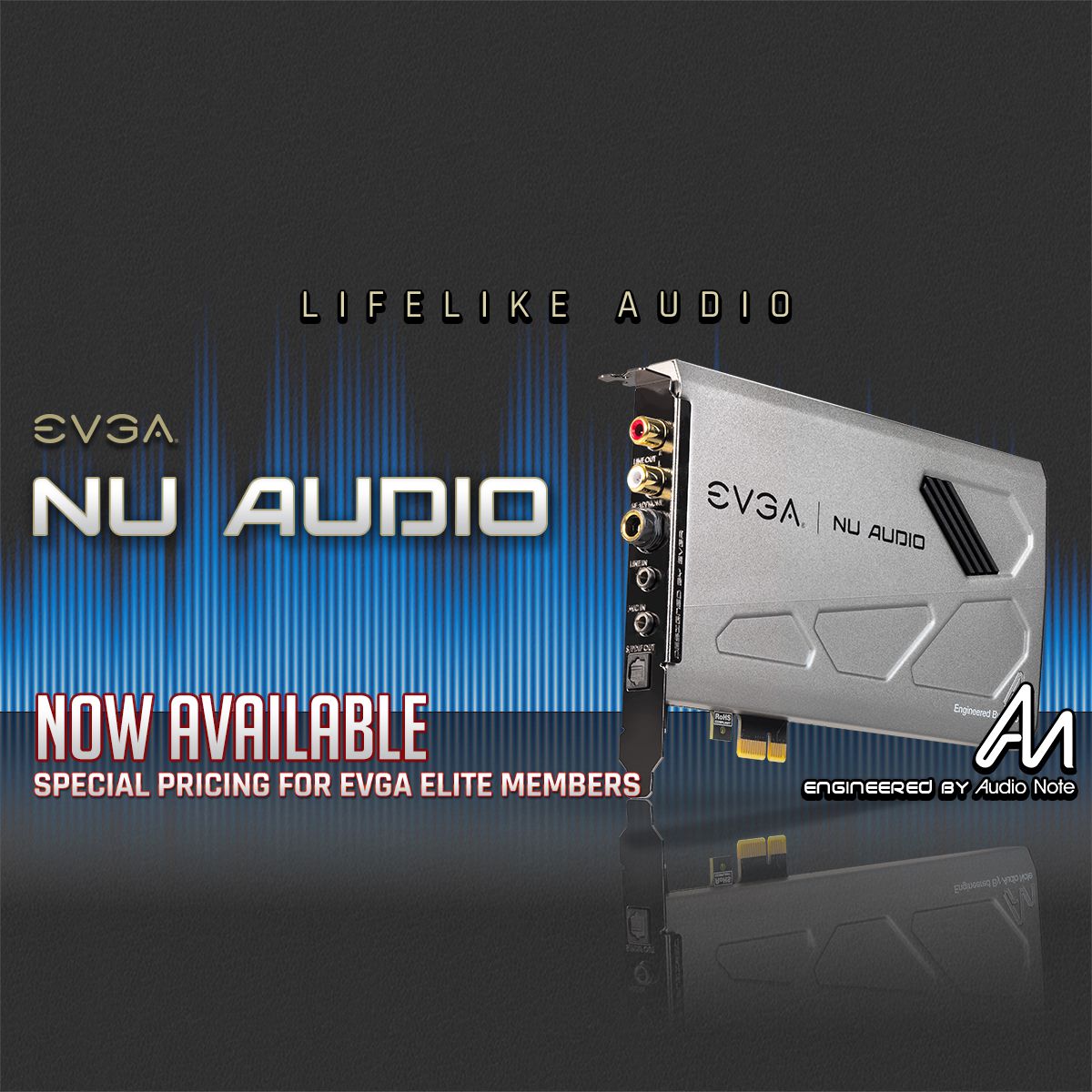 TEAMEVGA's tweet image. 🚨In Stock Now @ EVGA.COM🚨

EVGA NU AUDIO #LifeLikeAudio

Special $50 savings exclusive for EVGA ELITE Members!

evga.com/products/produ…