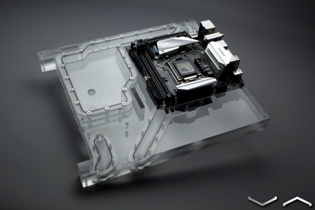 Always a vibe <a href="/ASUS_ROG/">ROG Global</a>