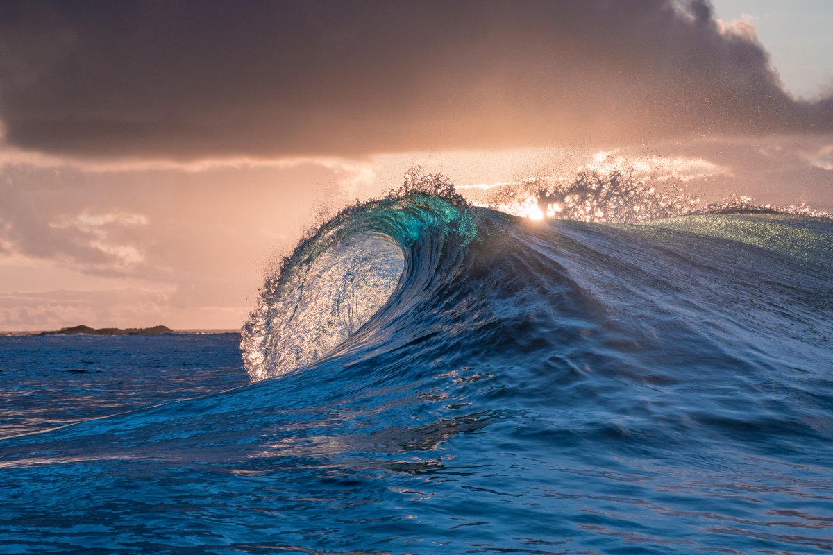 OceanoAzulF's tweet photo. How do we begin to measure the value of the ocean? To put a price on the seemingly priceless services this #BlueNaturalCapital gives to us? What does the ocean give to you?
Photo by #AndyMann on @NG_PristineSeas #PristineSeas expedition to Selvagens #MPA #OceanoAzulFoundation https://t.co/TFkWeGlh31