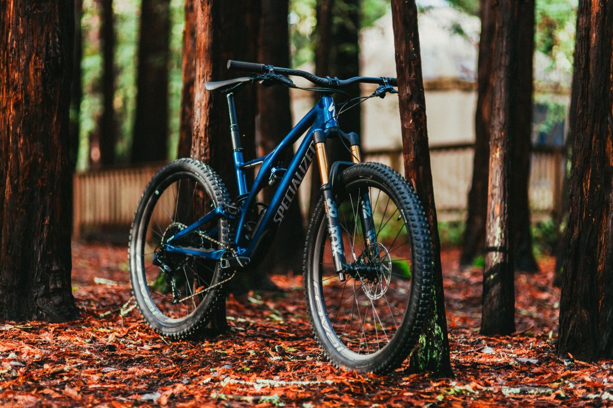 Stumpjumper fox 36 sale