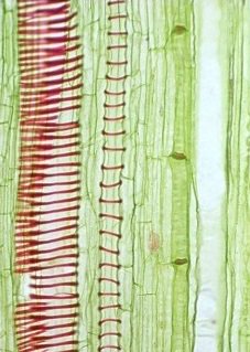 ThePositivityAward tweet media