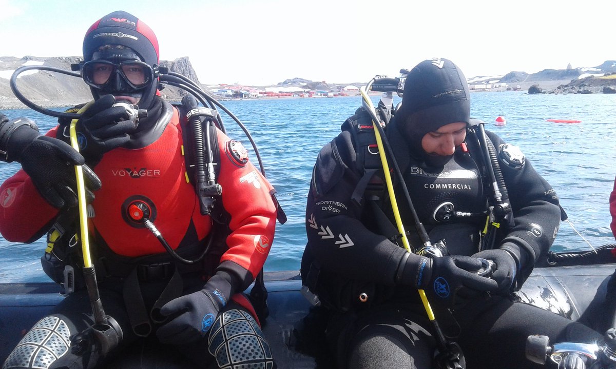 LACERUPLA's tweet photo. Grupo @LACERUPLA colaborando con nuestros amigos buzos del @IDEAL_Centro
#ExtremeDiving
#Antártica
#Icepit
@inach_gob @upla_comunica @paulacelispla https://t.co/zMRchqLrwI