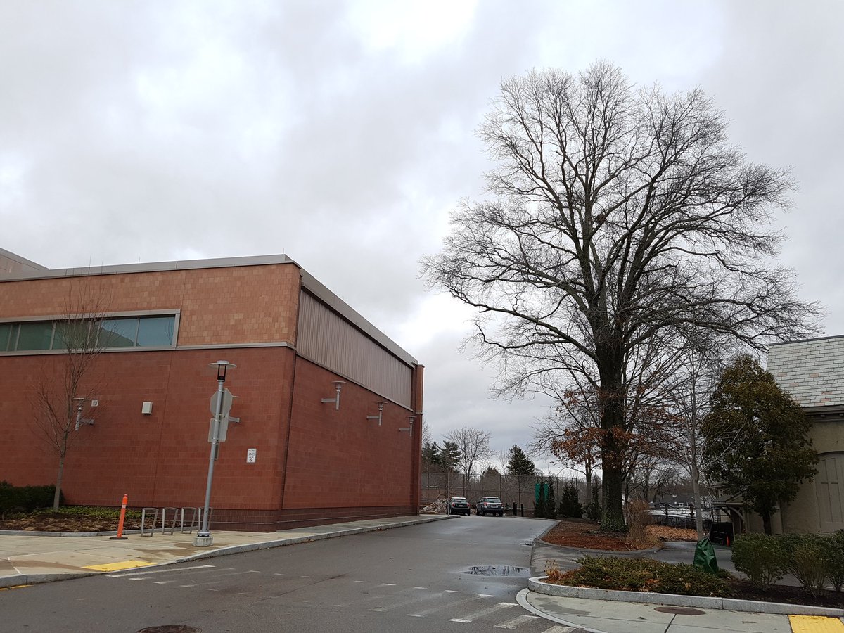 NewtonTrees's tweet photo. How much would come off top of Angier oak because it would shade roof solar? #NewtonMA #trees Public hearing 7pm tonight #NewtonMA City Hall Council Chamber. https://t.co/5EEiYwcpAV