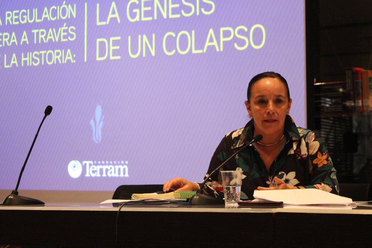 TerramChile's tweet photo. Senadora Carmen Gloria Aravena @aravena_g: "Cada vez que uno interviene está provocando efectos que uno debiera proyectar. Para hacer eso eso son necesarios antecedentes como estos” https://t.co/hOtKcNyRWp