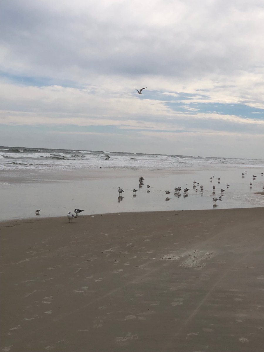 Cold day at the beach