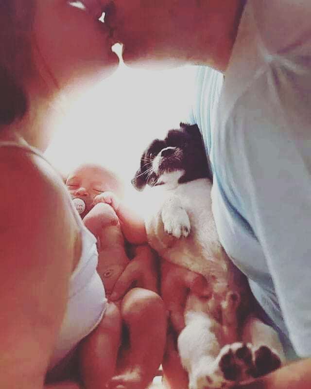 odonocuida's tweet photo. Na sua relação o amor pode um dia acabar, mas o que tem nos braços é para a vida toda ❤️
.
.
. #quemamacuida #odonocuida #pets #caesportugal #caesdeportugal #petsagram #animalsarefamily #instapets #dogsarefamily #mydogs #dogstagram #dogsofinstaworld #ins… https://t.co/TtQz5r4YOm https://t.co/vUBxceJGKZ