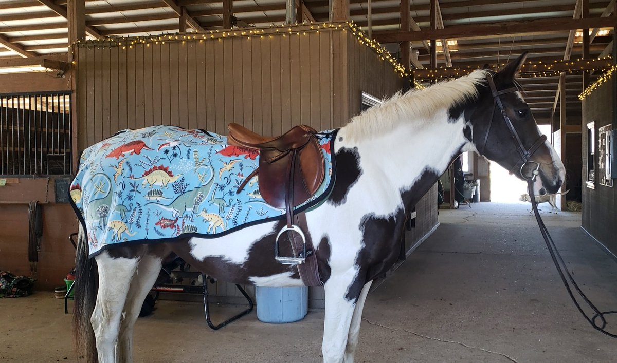 patternedponyeq's tweet image. My horse has a dinosaur quarter cooler now and I'm honestly ecstatic