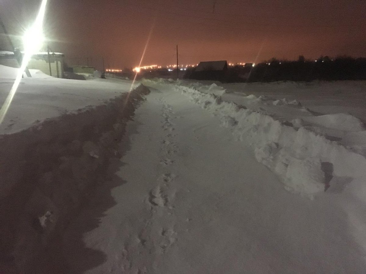 Лариса Андреева tweet media