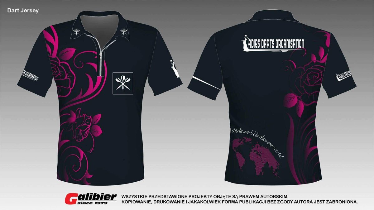 Ladies Darts Org tweet media