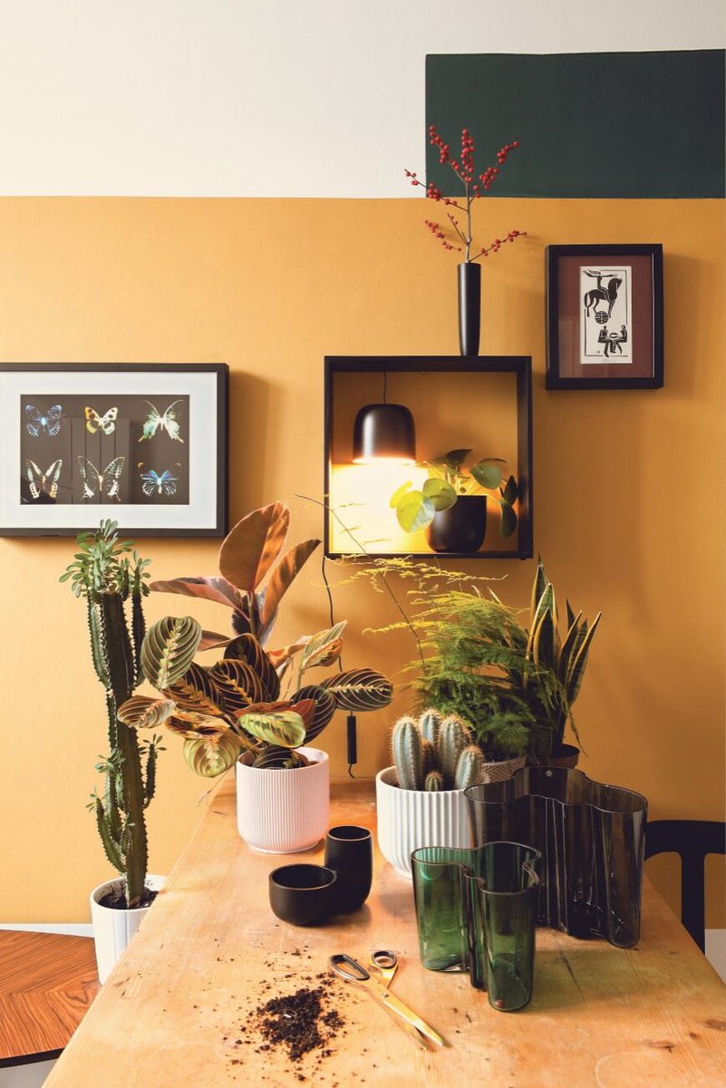 Do you live in an #UrbanJungle? 🌵 In Soffa 30 we created a special photostory with #Gaku –  a light fixture, an accessory, and a piece of furniture in one – designed by Japan studio #StudioNendo for #Flos .
—
Read the story here: bit.ly/Soffa30