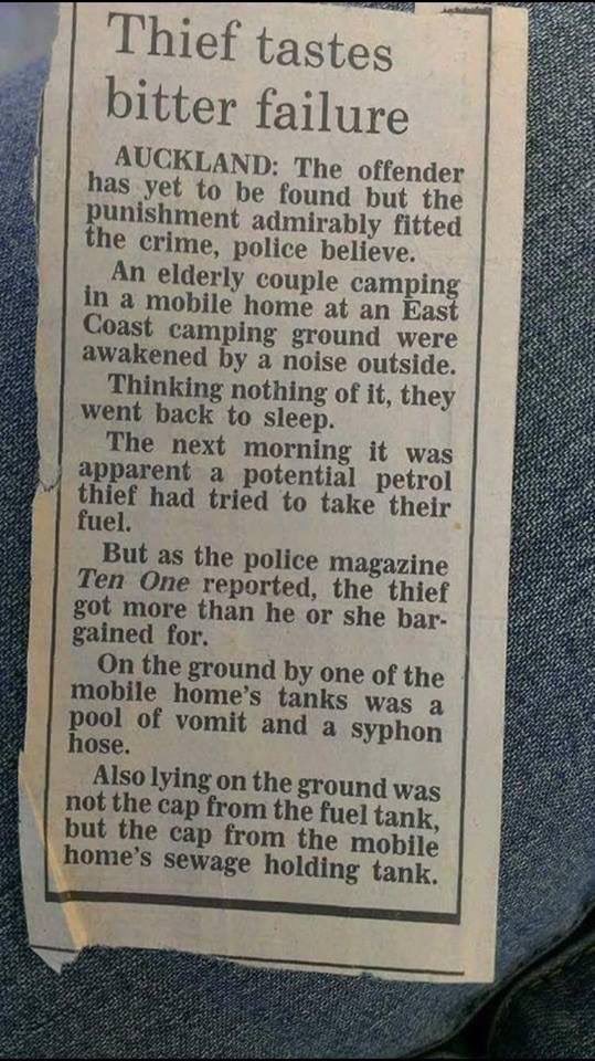 Those who follow me know I love Karma .. courtesy of a mate in New Zealand 👀👇😂😂😂