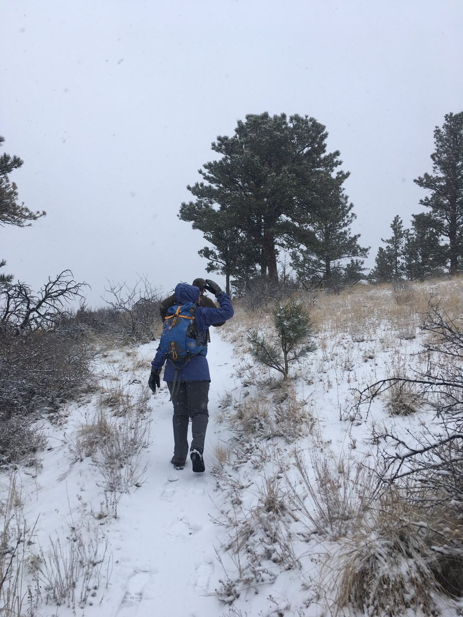 LCDNR's tweet photo. Many thanks to volunteers for braving the cold last Friday to help count deer in the Horsetooth area. #HTMOS https://t.co/PRnZqI2Svz