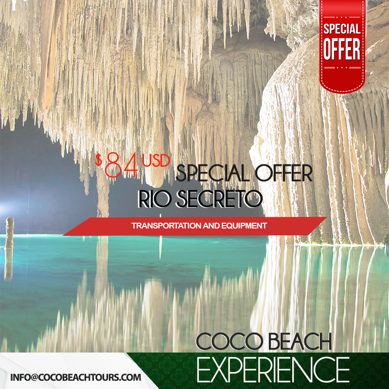CocoBeachPDC's tweet photo. Riviera Maya offers ONE CLICK AWAY😎 - https://t.co/LenBcys785 https://t.co/G8MvgwfO0a