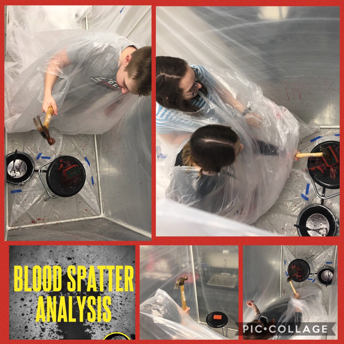 Ms. James tweet media