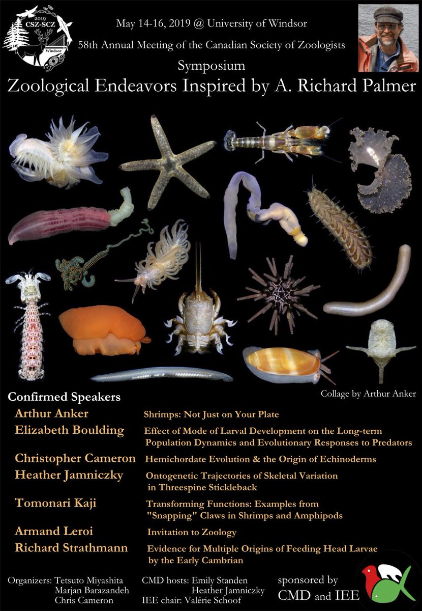 csz_scz's tweet photo. This joint CMD/IEE symposia https://t.co/hMKZZpvmxw is just one of many reasons to get excited for CSZ 2019! Check out https://t.co/fsatuIWfhK for meeting details and start thinking about your poster or talk - abstract submission opens soon on January 20th! @cszscz2019 https://t.co/1IEEYHvRTi