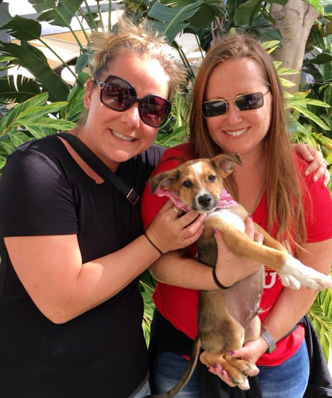 ArubaFlightVol's tweet photo. Aruba Flight Volunteers
January 13 at 10:09 PM · 
This woman in red is truly special. Her name is Angela and she has helped out in so many ways!! She joined a group that came to Aruba to see exactly what the rescues on the island are doing on a day to day basis. https://t.co/1OpO3aoWjG