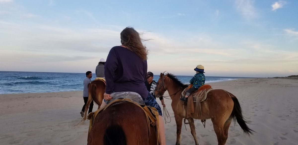 bme_center's tweet image. Reiki Ninjas Unite 🙏 - *|reikiqi.com|*