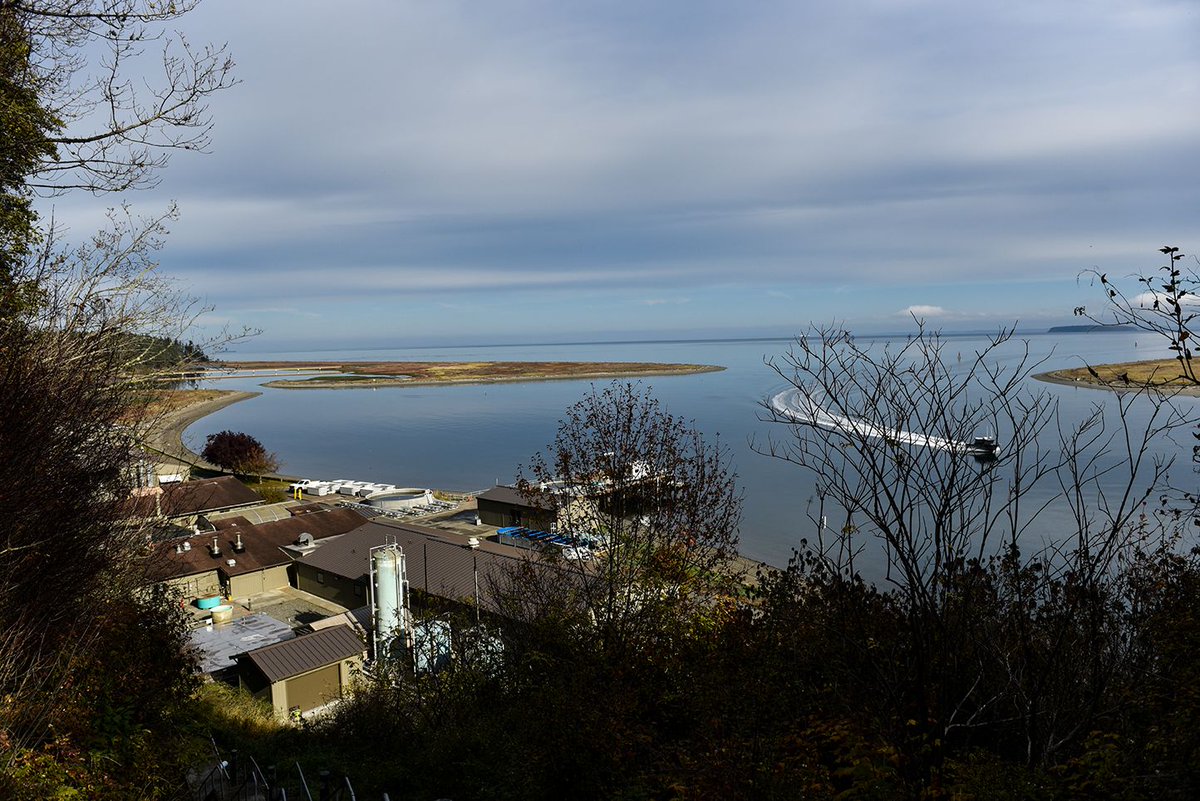 sciencePNNL's tweet photo. Our Marine Sciences Laboratory is not only a beautiful place...it's also @doescience's only marine research lab. #Sequim #science #marinescience #SequimBay #researchvessel https://t.co/99AVKM3G6r