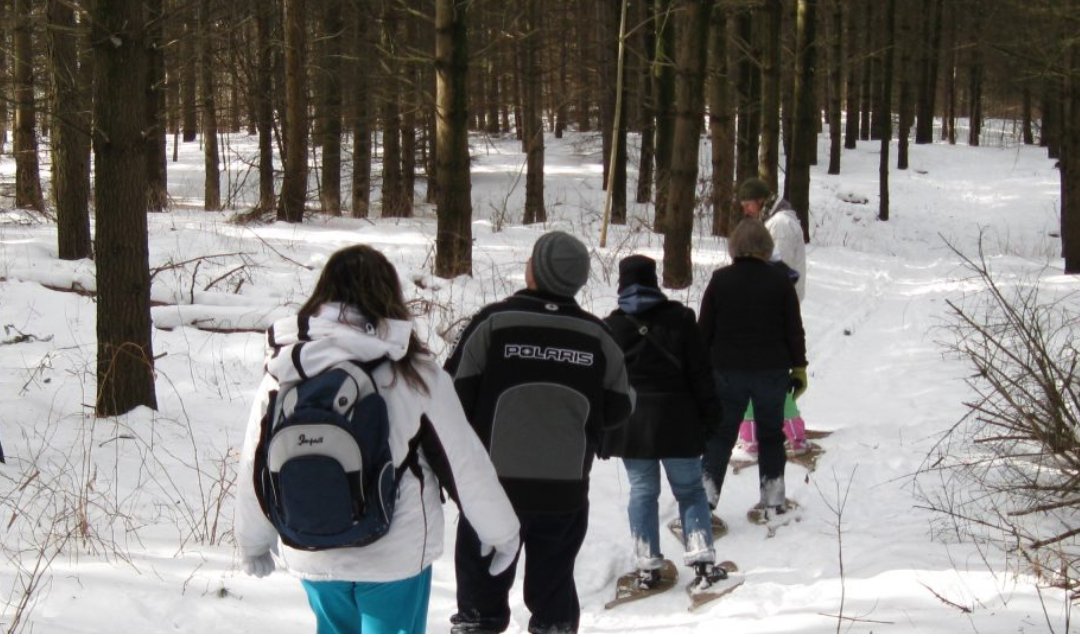 Looking for opportunities to explore the Humber River watershed? Check out some upcoming events like Snowshoes and Snow-Clues - explore conservation lands, enjoy nature, and learn about the local wildlife! bit.ly/2R9xpvO #WatershedWednesday