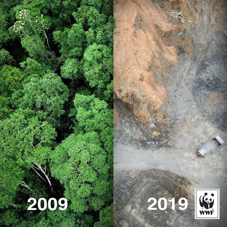JavedNLaghari's tweet photo. #10YearsChallenge #SaveTreeSaveWorld https://t.co/rI2B66SWDi