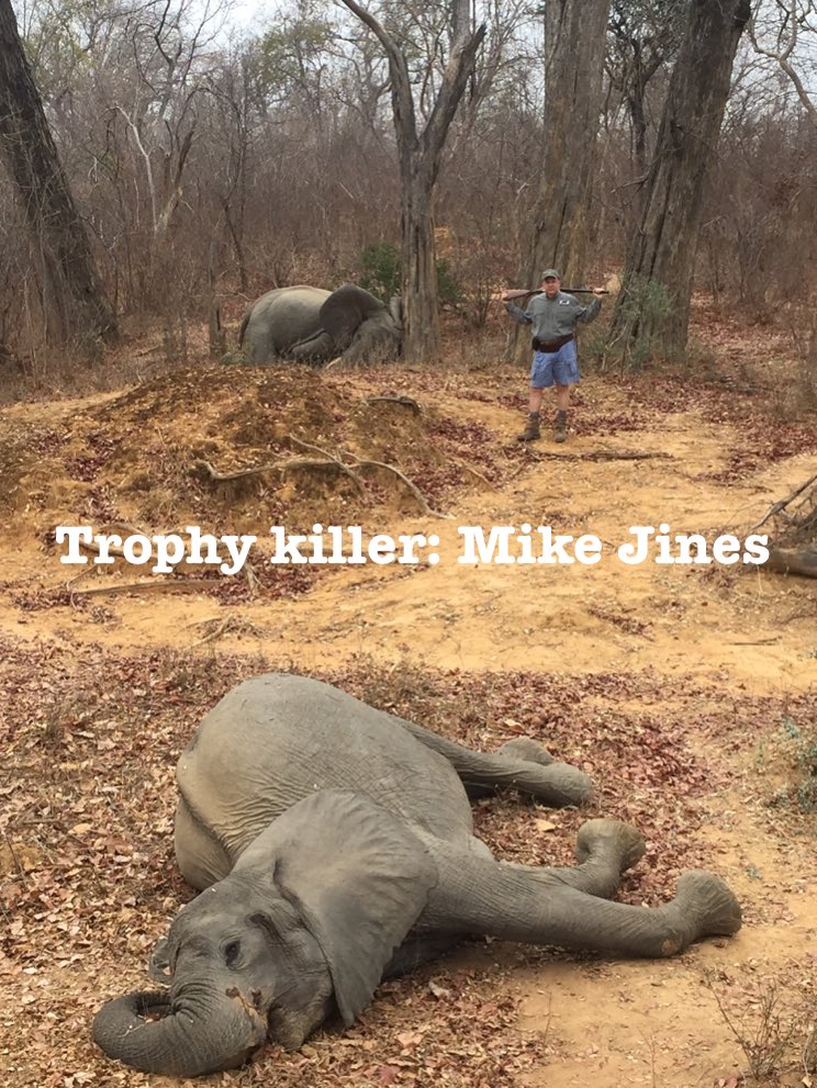 Xpose Trophy Hunting tweet media